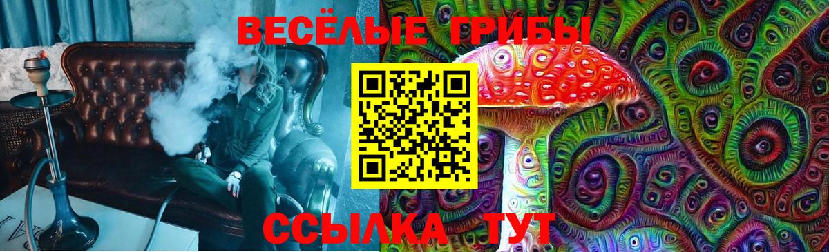 Псилоцибиновые грибы Cubensis Петрозаводск