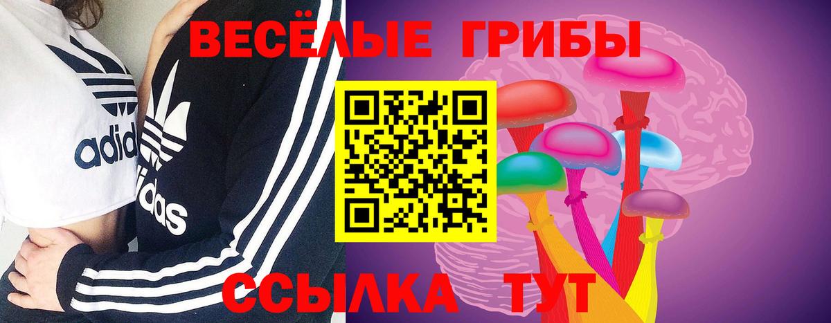 Петрозаводск  Псилоцибиновые грибы мицелий  Вход с VPN  Галлюциногенные грибы мицелий 